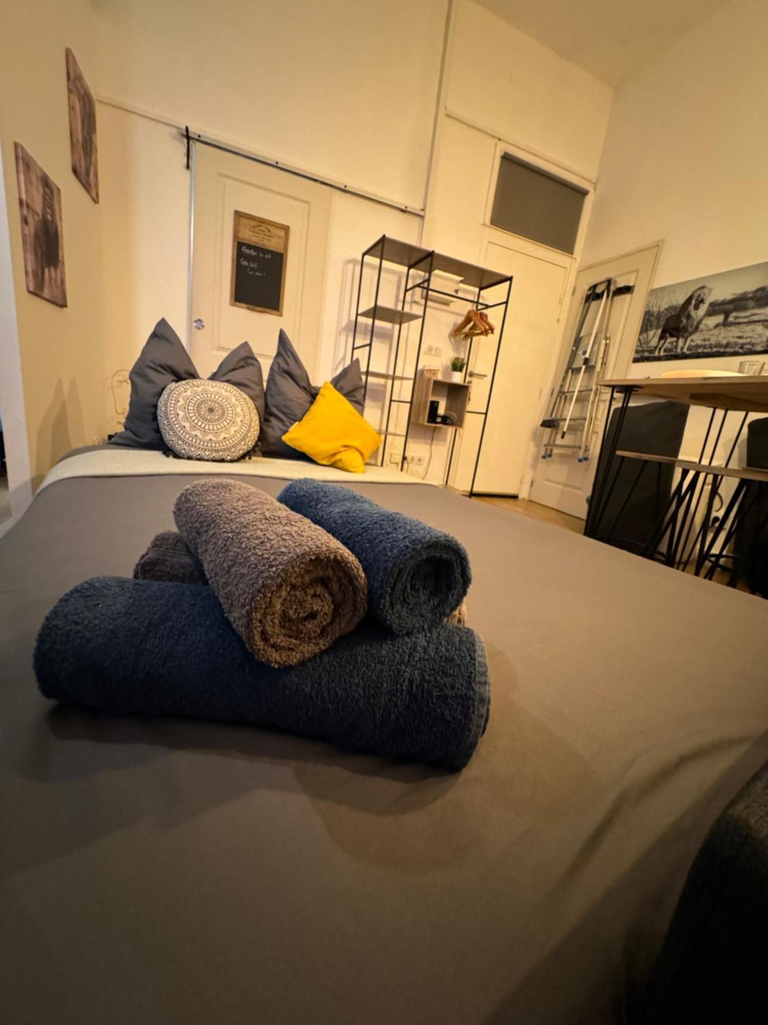 Charmant Appartement Climatise Aux Pieds De La Cite Carcassonne Ngoại thất bức ảnh
