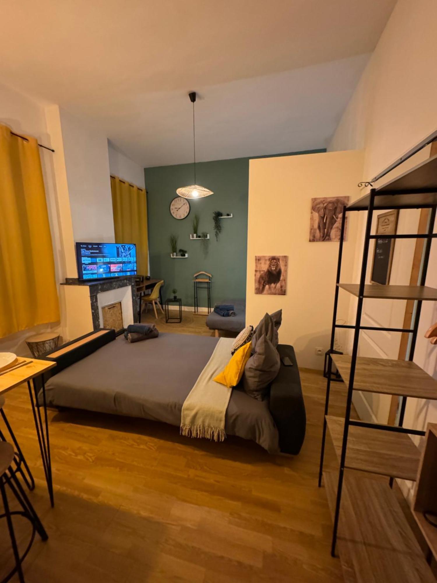 Charmant Appartement Climatise Aux Pieds De La Cite Carcassonne Ngoại thất bức ảnh