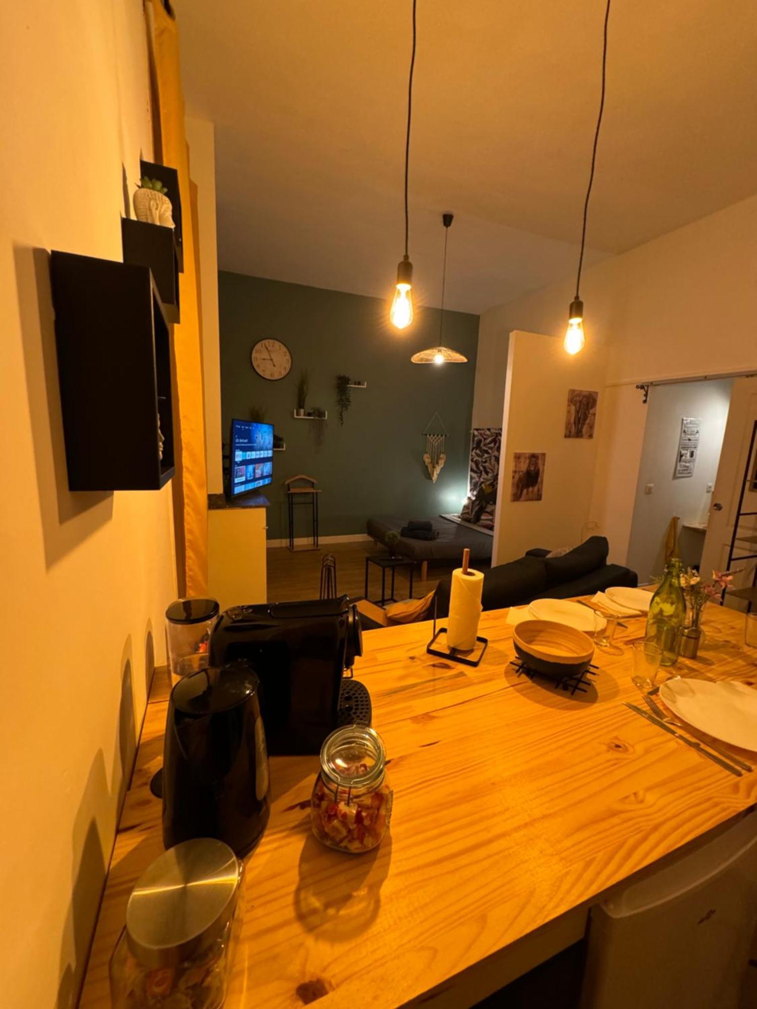 Charmant Appartement Climatise Aux Pieds De La Cite Carcassonne Ngoại thất bức ảnh