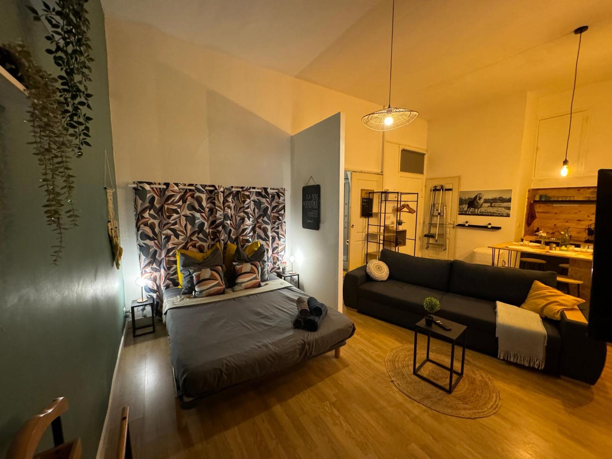 Charmant Appartement Climatise Aux Pieds De La Cite Carcassonne Ngoại thất bức ảnh