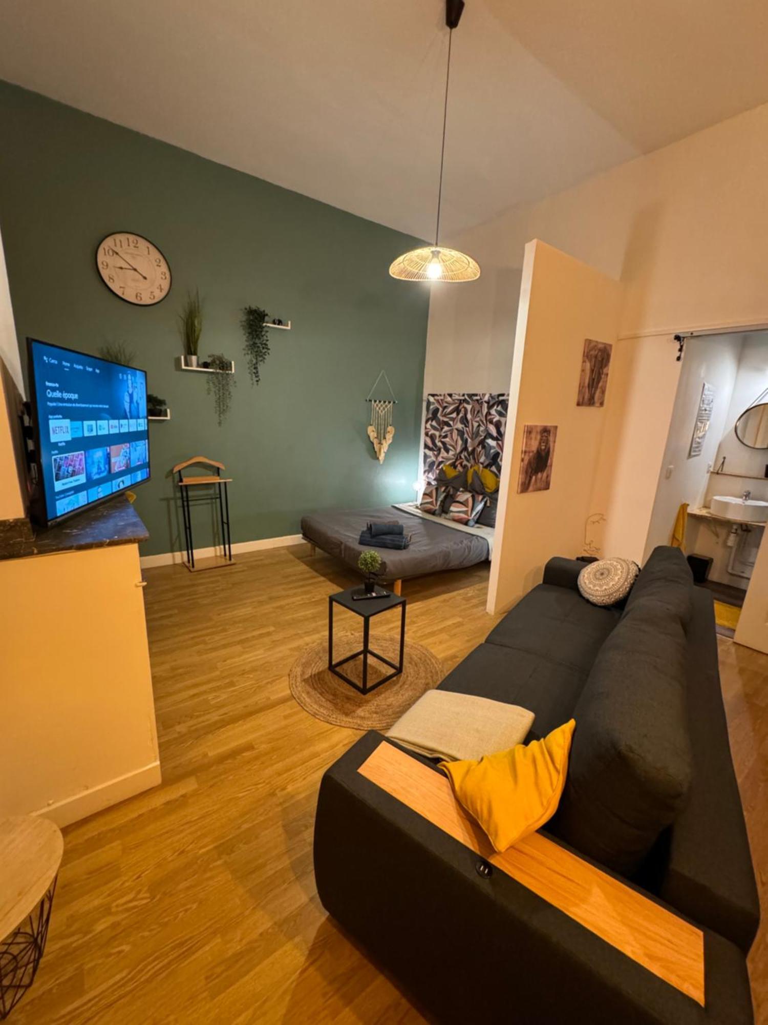 Charmant Appartement Climatise Aux Pieds De La Cite Carcassonne Ngoại thất bức ảnh